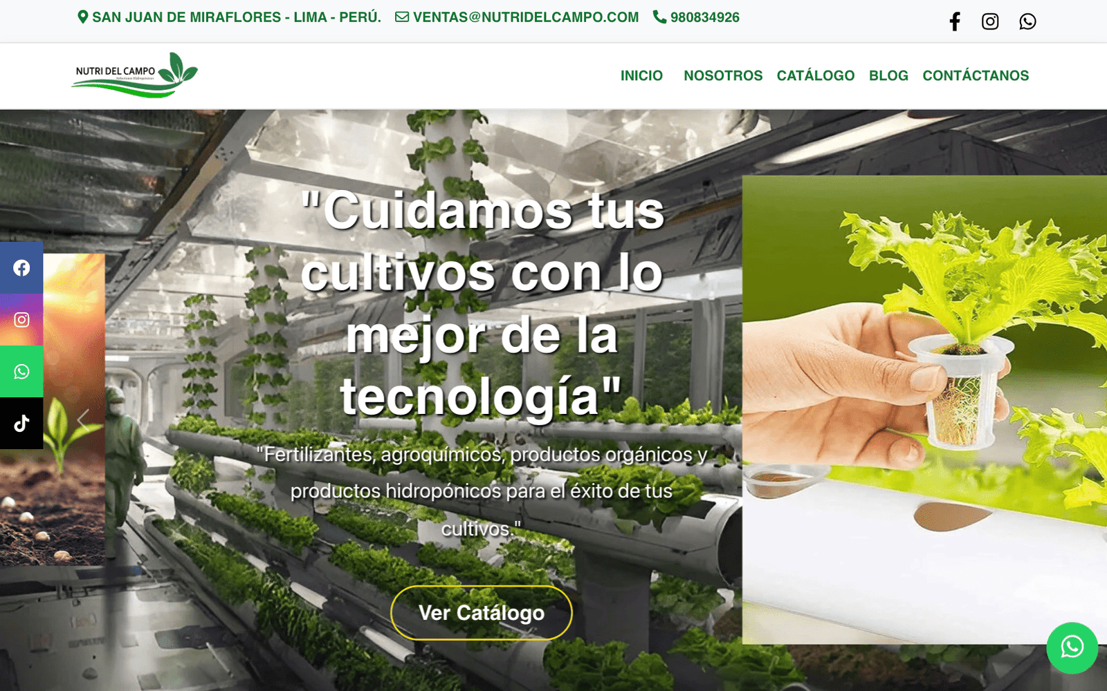 Hidroponía | Página Web y Catálogo Digital