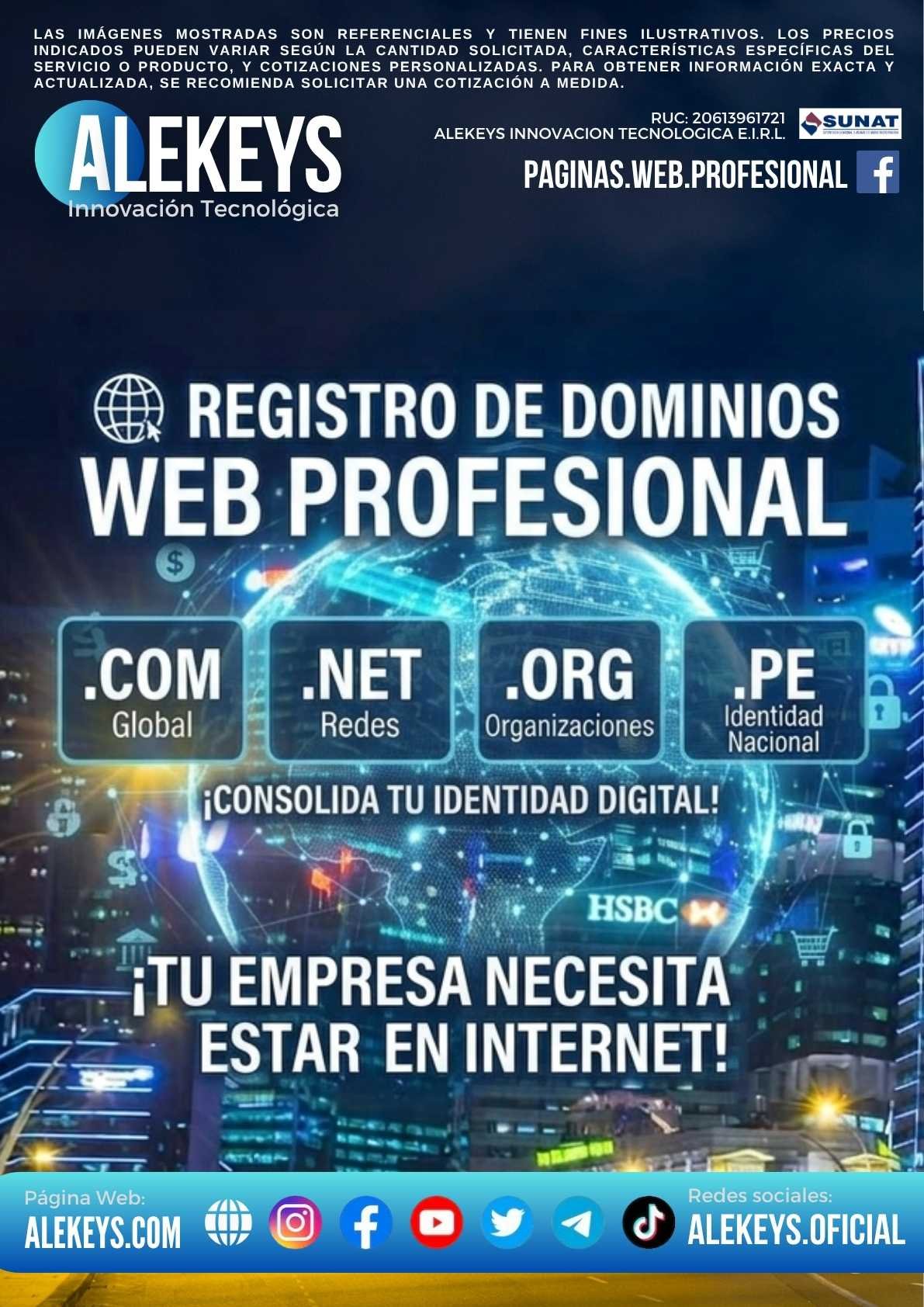 Dominio Web