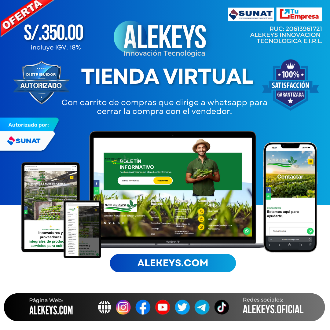 Tienda Virtual, 