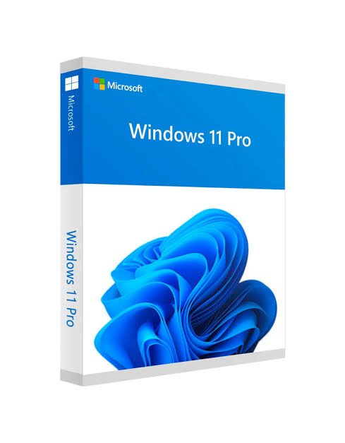 Servicio Tcnico Windows 11, 